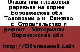 Отдам пни плодовых деревьев на корню - Воронежская обл., Таловский р-н, Синявка с. Строительство и ремонт » Материалы   . Воронежская обл.